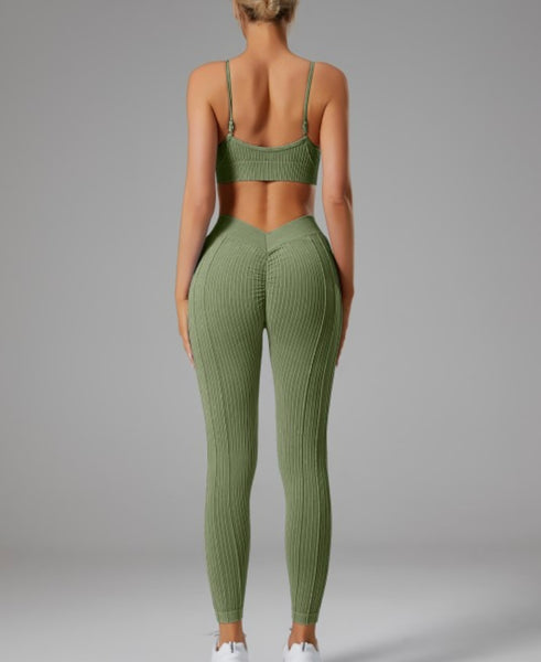 Seamless 2pc Leggings Set